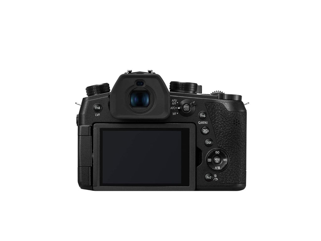 LUMIX Digital Camera DC-FZ10002GA